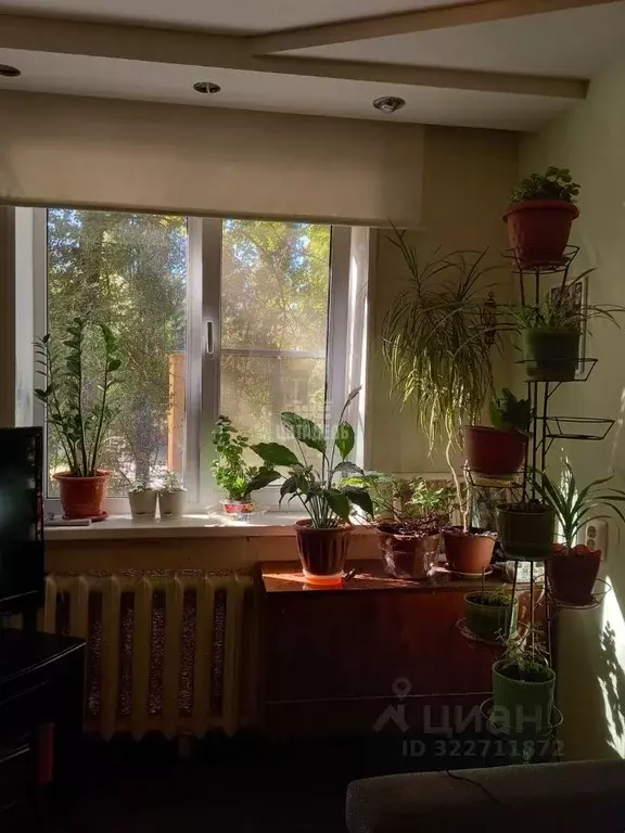 3-к кв. Воронежская область, Воронеж Пеше-Стрелецкая ул., 129 (58.0 м) - Фото 2