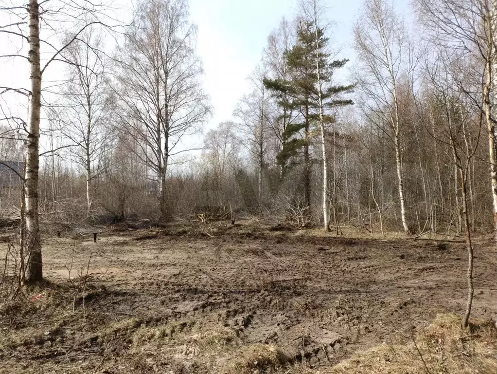 Участок 12 сот. (ИЖС) - Фото 0