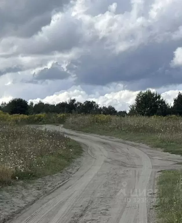 Участок в Брянская область, Брянск ул. Лобачевского, 13 (10.0 сот.) - Фото 2