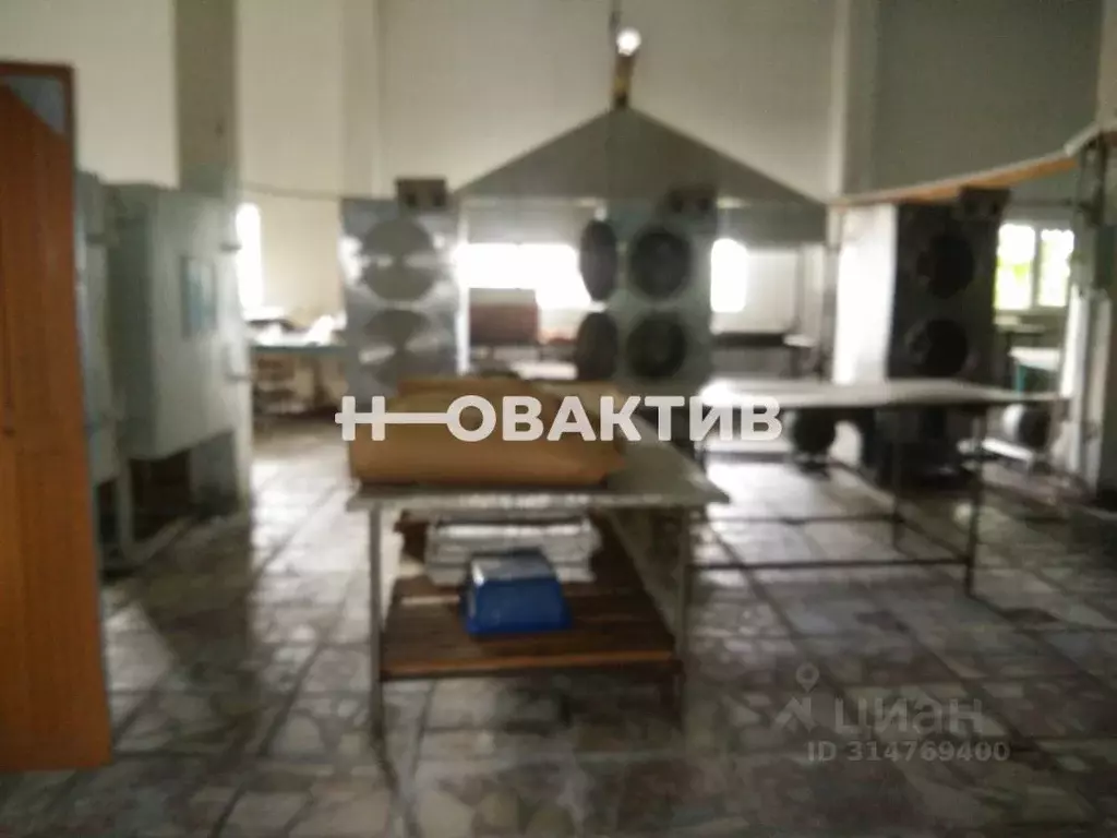 Производственное помещение в Новосибирская область, Чистоозерный ... - Фото 0