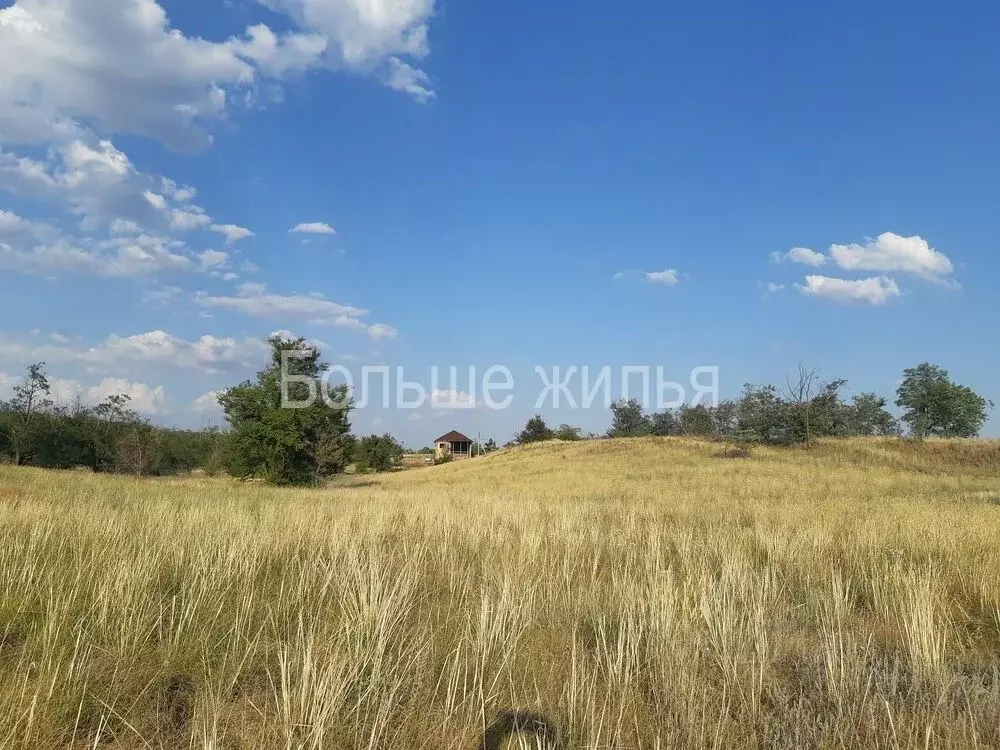 Участок в Волгоградская область, Городищенский район, Царицынское ... - Фото 1
