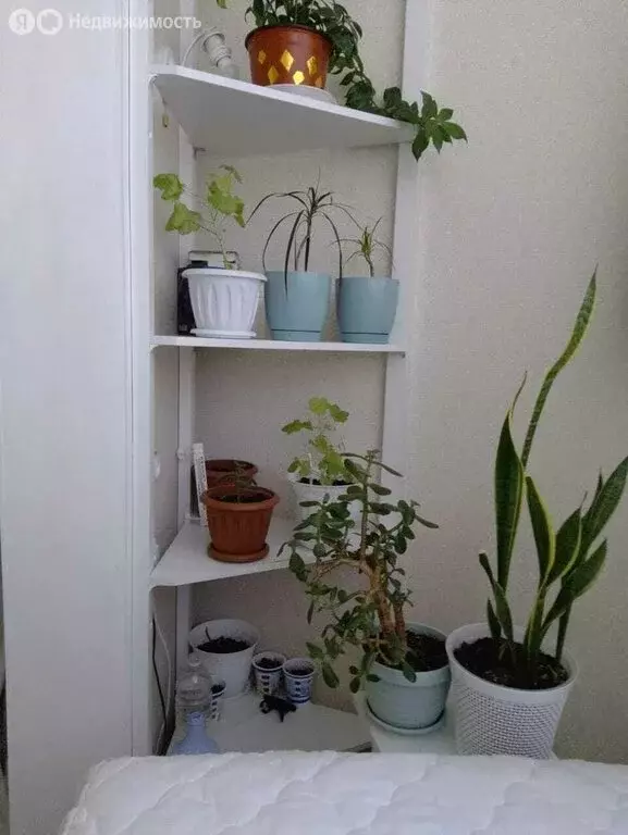 Квартира-студия: Анапа, Мирная улица, 29к6 (31 м) - Фото 1