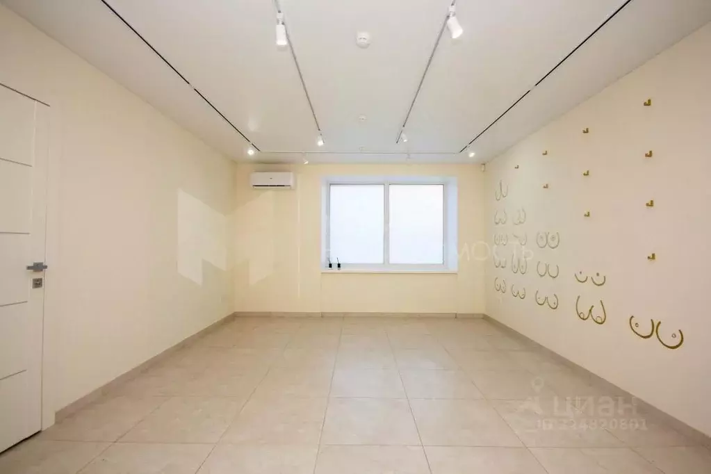 Помещение свободного назначения в Тюменская область, Тюмень ул. ... - Фото 1