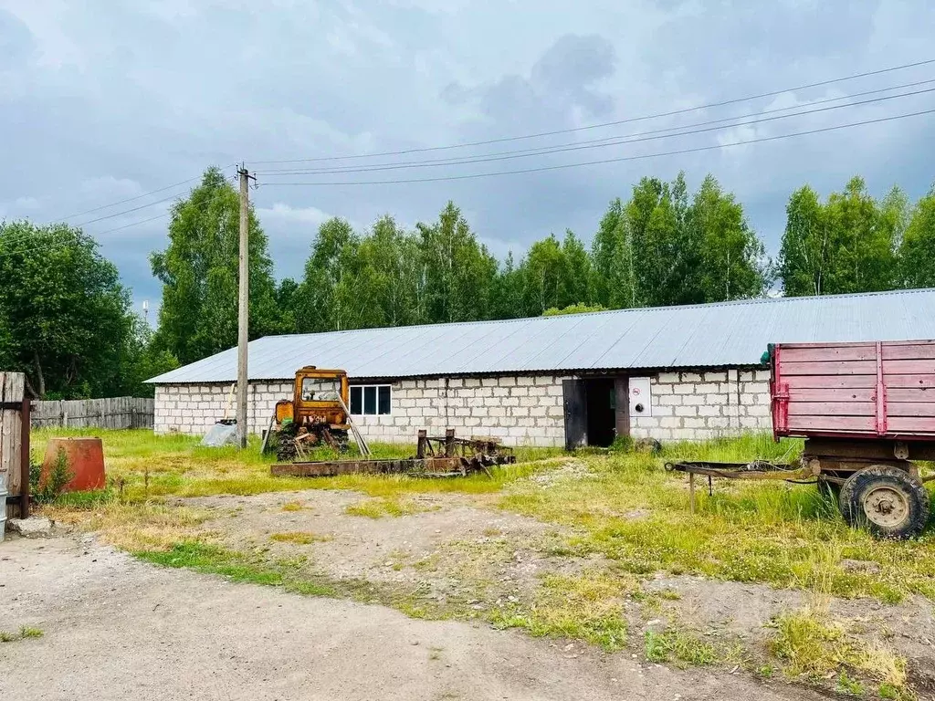 Производственное помещение в Смоленская область, Краснинский район, д. . - Фото 0
