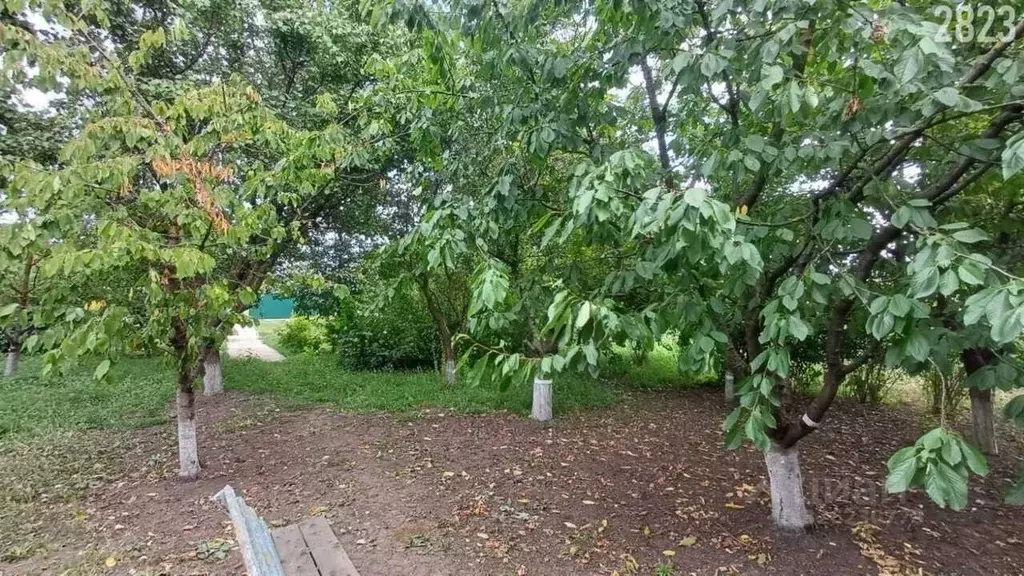 Участок в Краснодарский край, Динской район, Новотитаровская ст-ца ул. ... - Фото 2