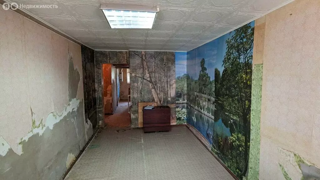 1-комнатная квартира: Астрахань, улица Димитрова, 3к1 (29.3 м) - Фото 1