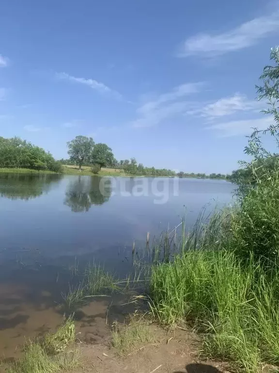 Участок в Саратовская область, Энгельсский район, Красноярское ... - Фото 0