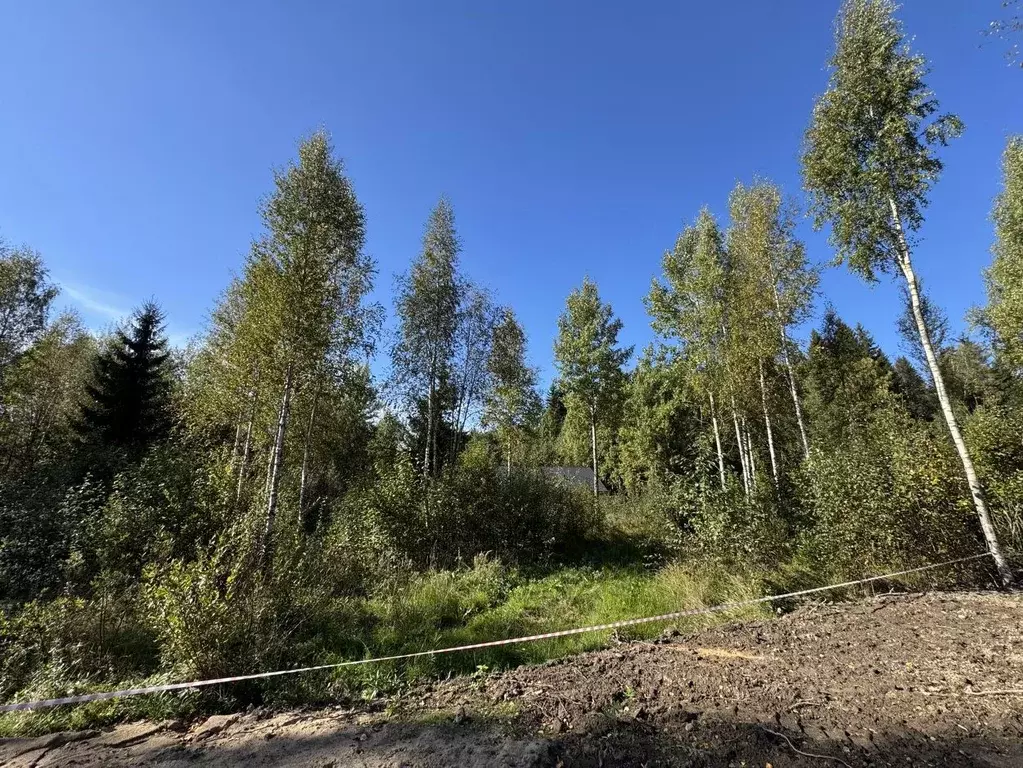 Участок в Ленинградская область, Всеволожский район, Лесколовское ... - Фото 2