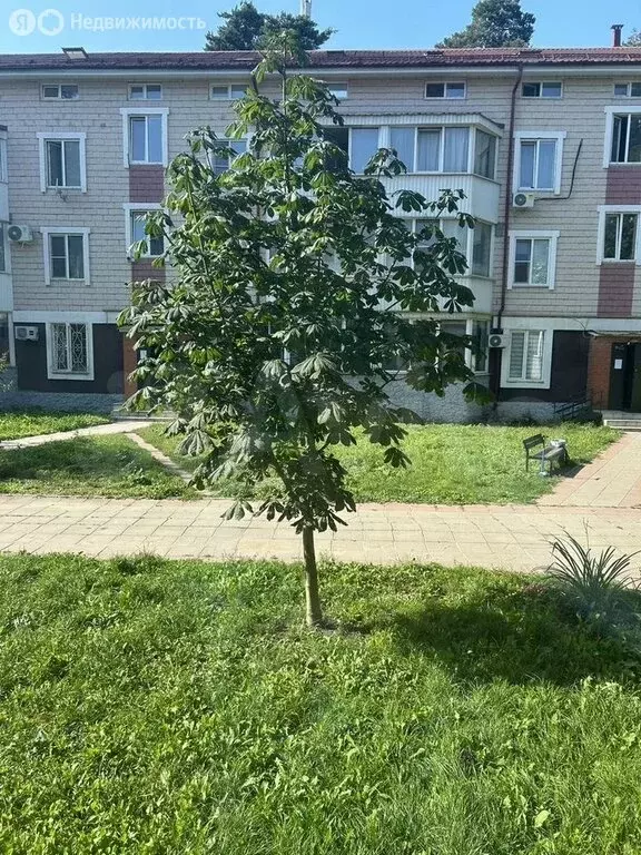 1-комнатная квартира: посёлок городского типа Ильинский, Праволинейная ... - Фото 2