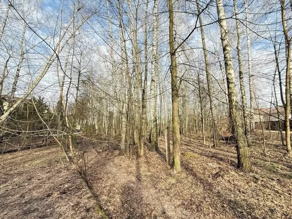 Участок в Москва пос. ДСК Мичуринец, ул. Энгельса, 48А (10.0 сот.) - Фото 2