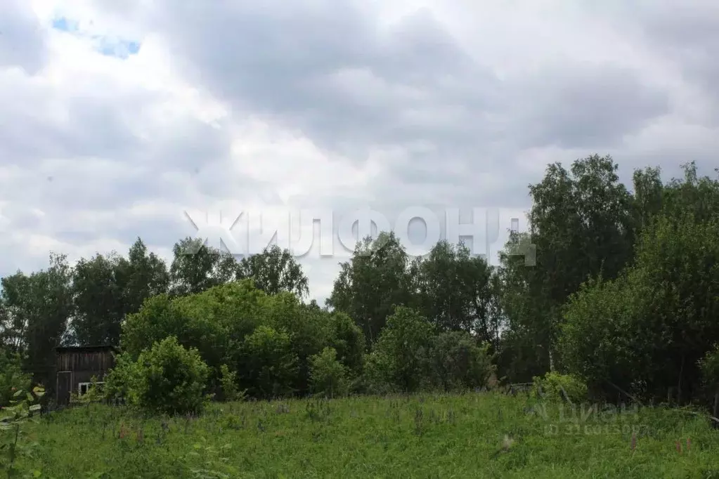 Участок в Новосибирская область, Новосибирский район, Барышевский ... - Фото 0