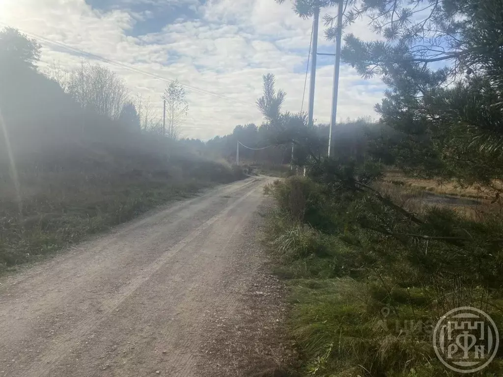 Участок в Ленинградская область, Лужский район, Толмачевское городское ... - Фото 2