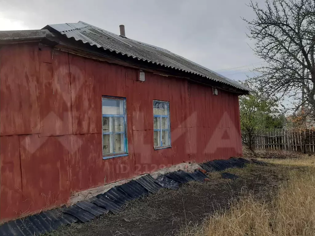 Прогноз погоды село новобогородицкое петропавловский воронежская. Прогноз погоды село новобогородицкое петропавловский воронежская. Прогноз погоды село новобогородицкое петропавловский воронежская. Погода новобогородицкое. Село новобогородицкое воронежская область.