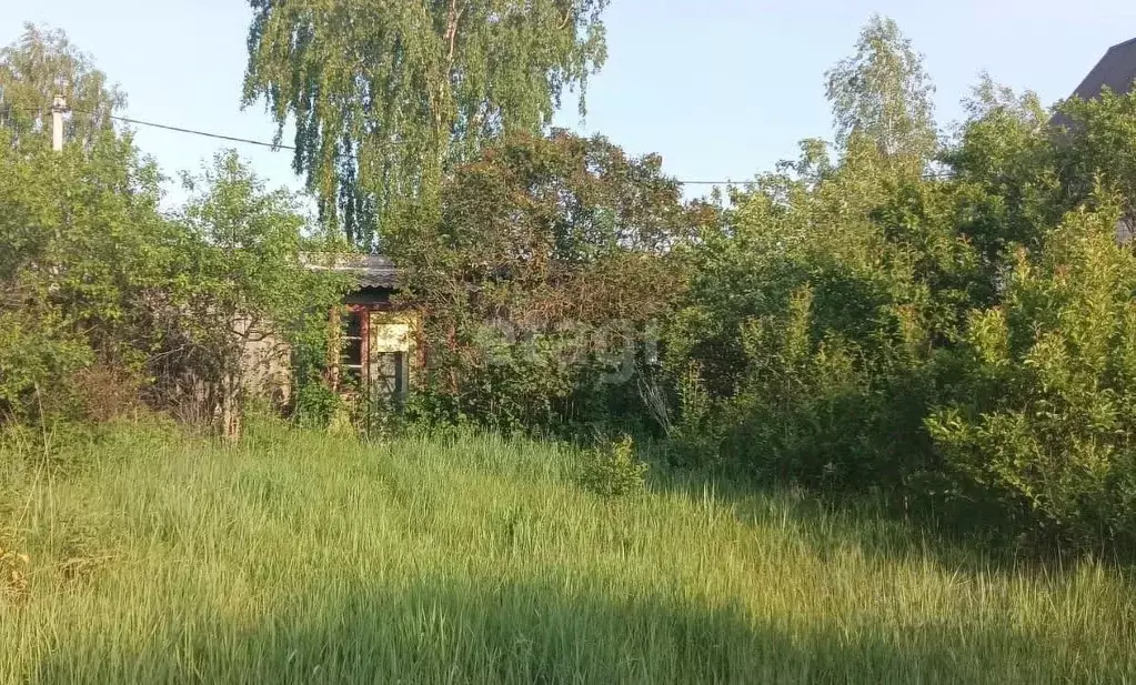 Участок в Владимирская область, Меленковский муниципальный округ, с. ... - Фото 1