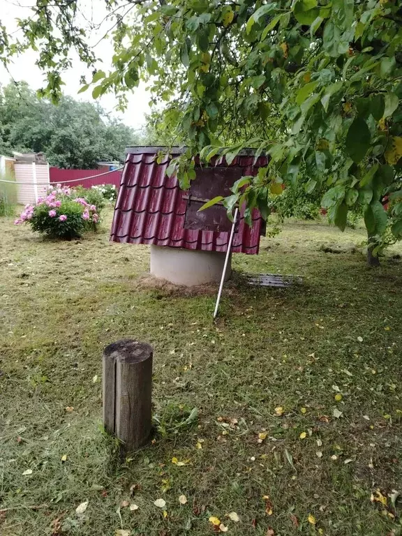 Продается дом в д. Погостище - Фото 2