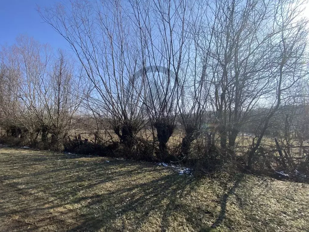 Участок в Краснодарский край, Апшеронский район, Нефтегорское ... - Фото 2