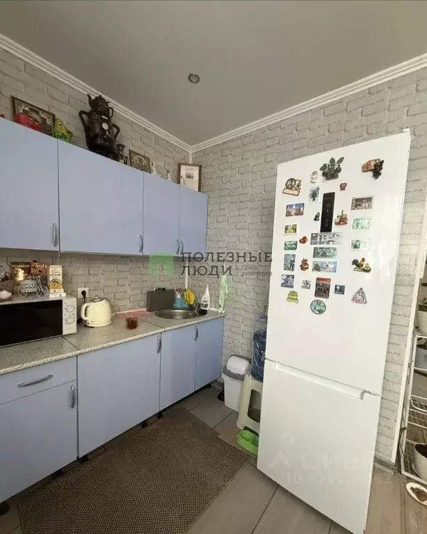 Студия Краснодарский край, Новороссийск городской округ, с. Гайдук ул. ... - Фото 2