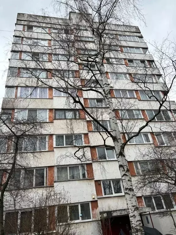 1-к кв. Санкт-Петербург ул. Козлова, 25К1 (32.5 м) - Фото 1