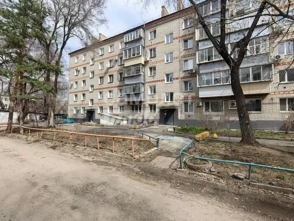 1-к кв. Амурская область, Благовещенск ул. Шимановского, 10 (30.4 м) - Фото 1