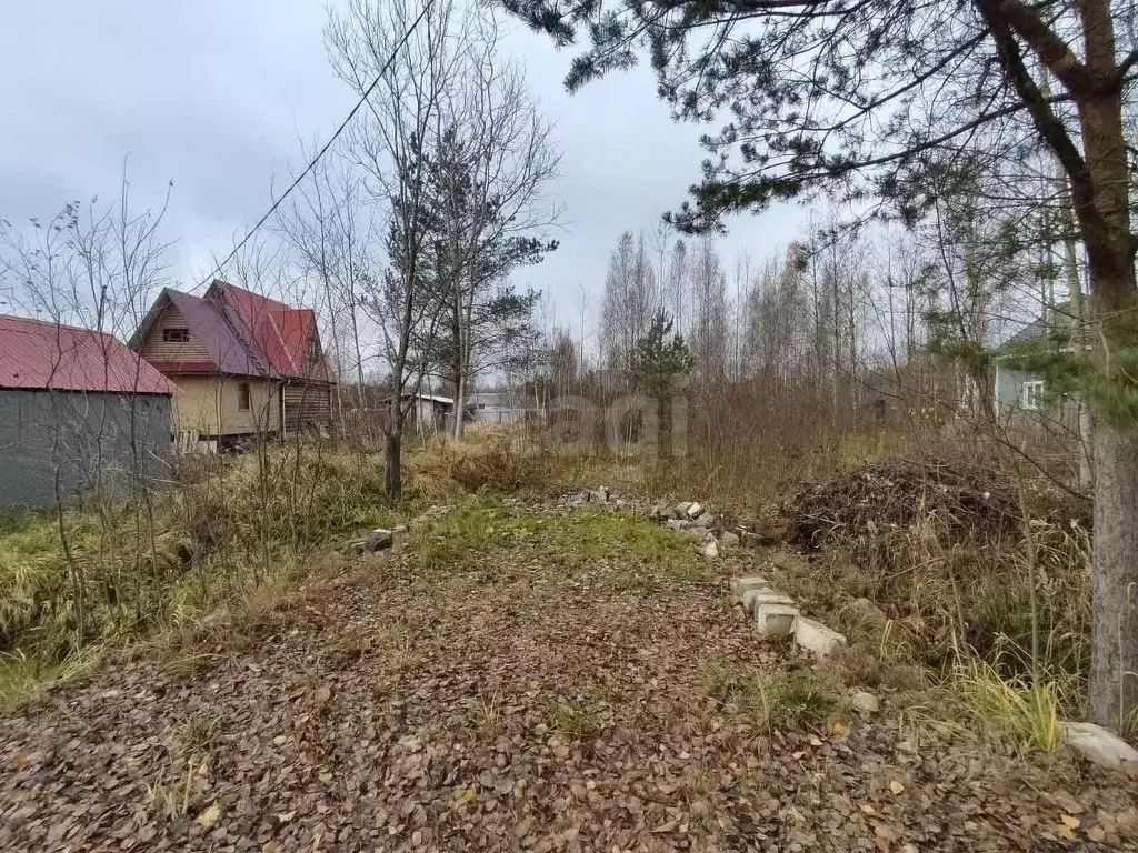 Участок в Ленинградская область, Кировское городское поселение, ... - Фото 1