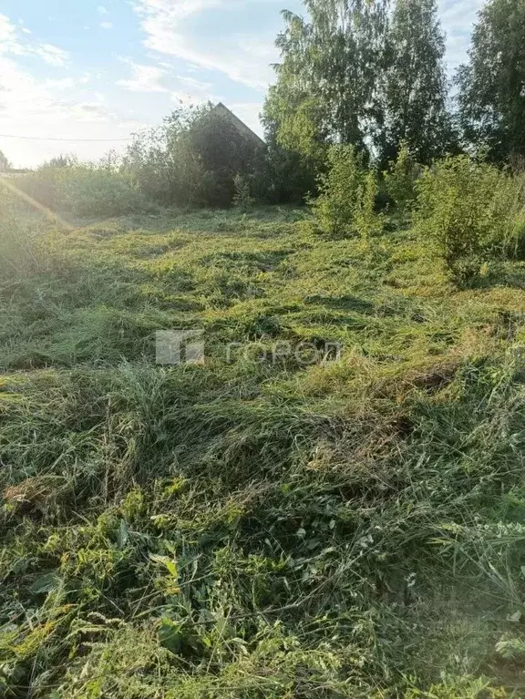 Участок в Новосибирская область, Новосибирск Заря-3 СТ,  (6.0 сот.) - Фото 1