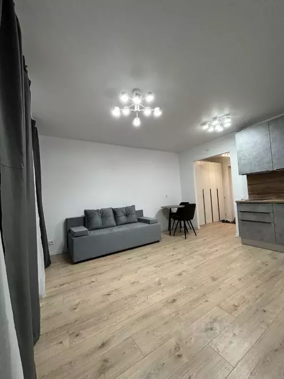 Студия Ленинградская область, Всеволожский район, д. Новое Девяткино ... - Фото 2