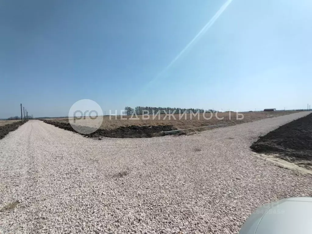 Участок в Рязанская область, Рязанский район, Екимовское с/пос, д. ... - Фото 2