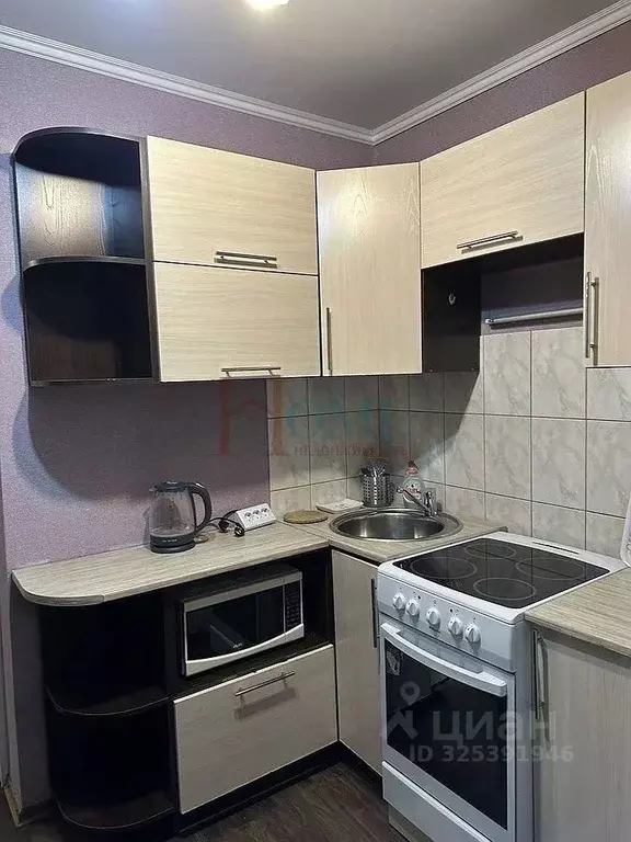 1-к кв. Новосибирская область, Новосибирск ул. Гоголя, 29 (31.0 м) - Фото 1