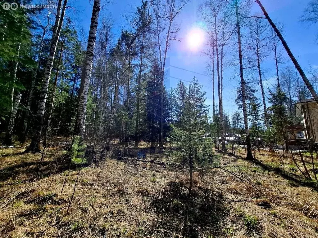 Участок в посёлок Кедровое, улица Строителей, 31 (25 м) - Фото 0