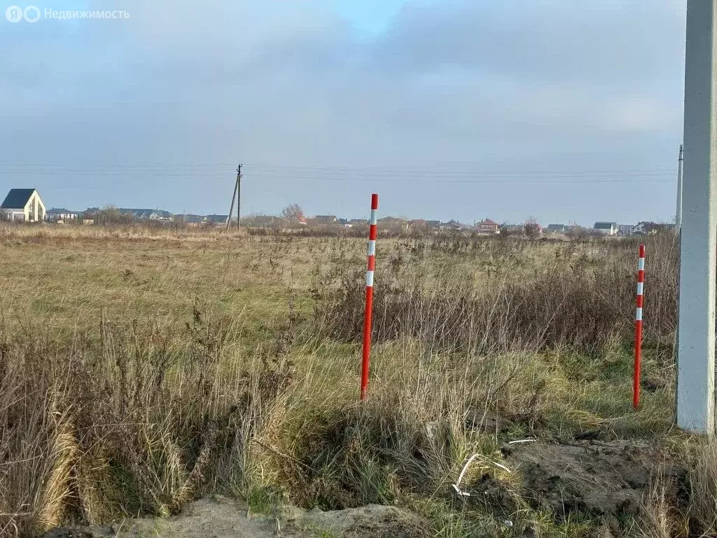 Участок в Калининградская область, Зеленоградский муниципальный округ, ... - Фото 1