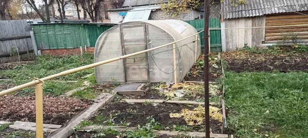 Купить Сад Мир Йошкар Ола