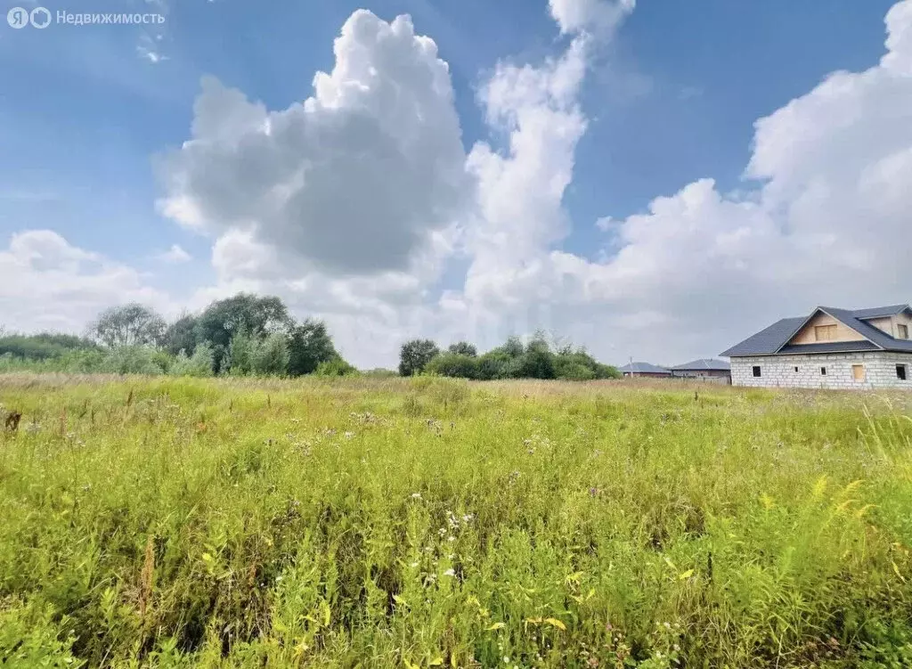 Участок в Московская область, городской округ Воскресенск, село ... - Фото 1