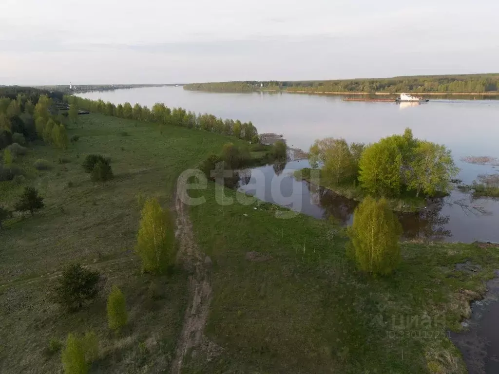 Участок в Ярославская область, Некрасовский муниципальный округ, ... - Фото 1