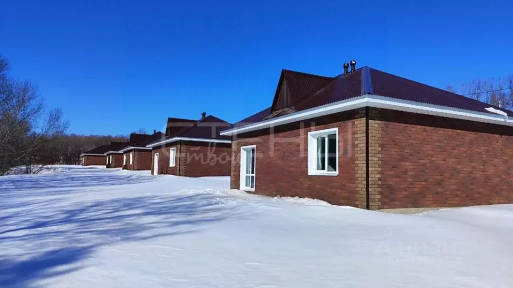 Дом в Амурская область, Благовещенский район, с. Чигири 27 (82 м) - Фото 1