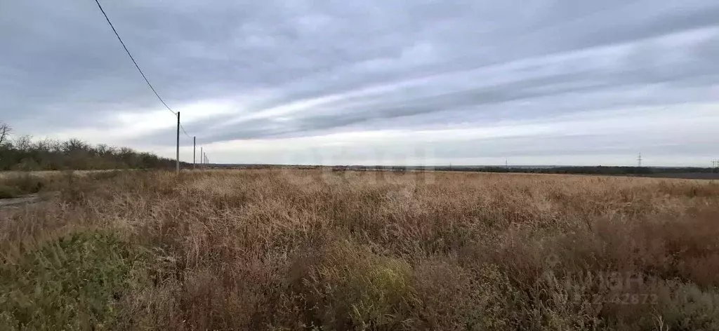 Участок в Ростовская область, Аксайский район, Щепкинское с/пос, пос. ... - Фото 2