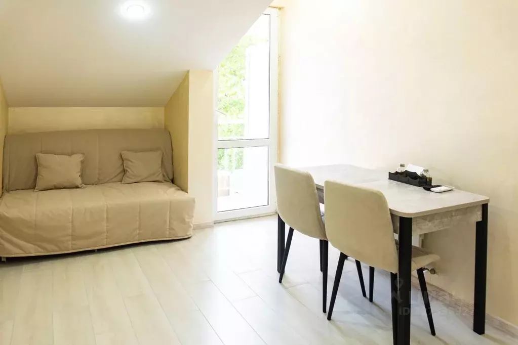 Студия Краснодарский край, Сочи ул. Чекменева, 18 (19.0 м) - Фото 2