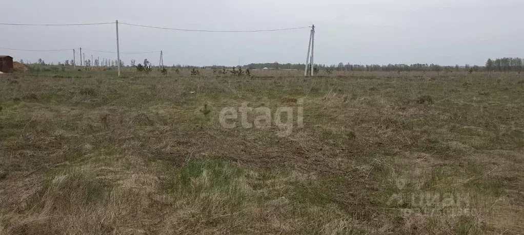 Участок в Липецкая область, Добровский муниципальный округ, с. ... - Фото 1