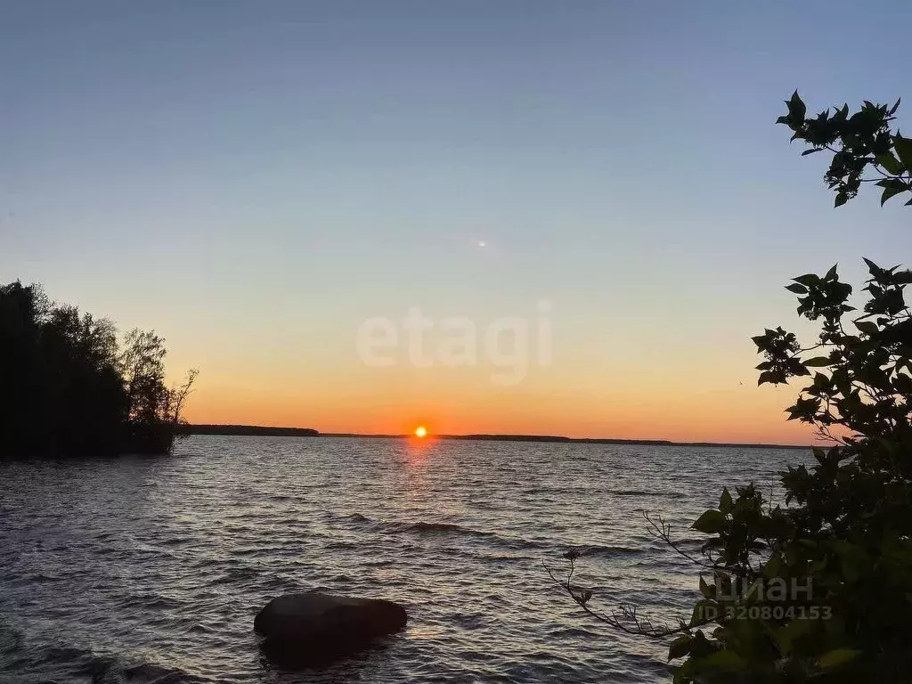 Участок в Вологодская область, Шекснинский муниципальный округ, ... - Фото 1