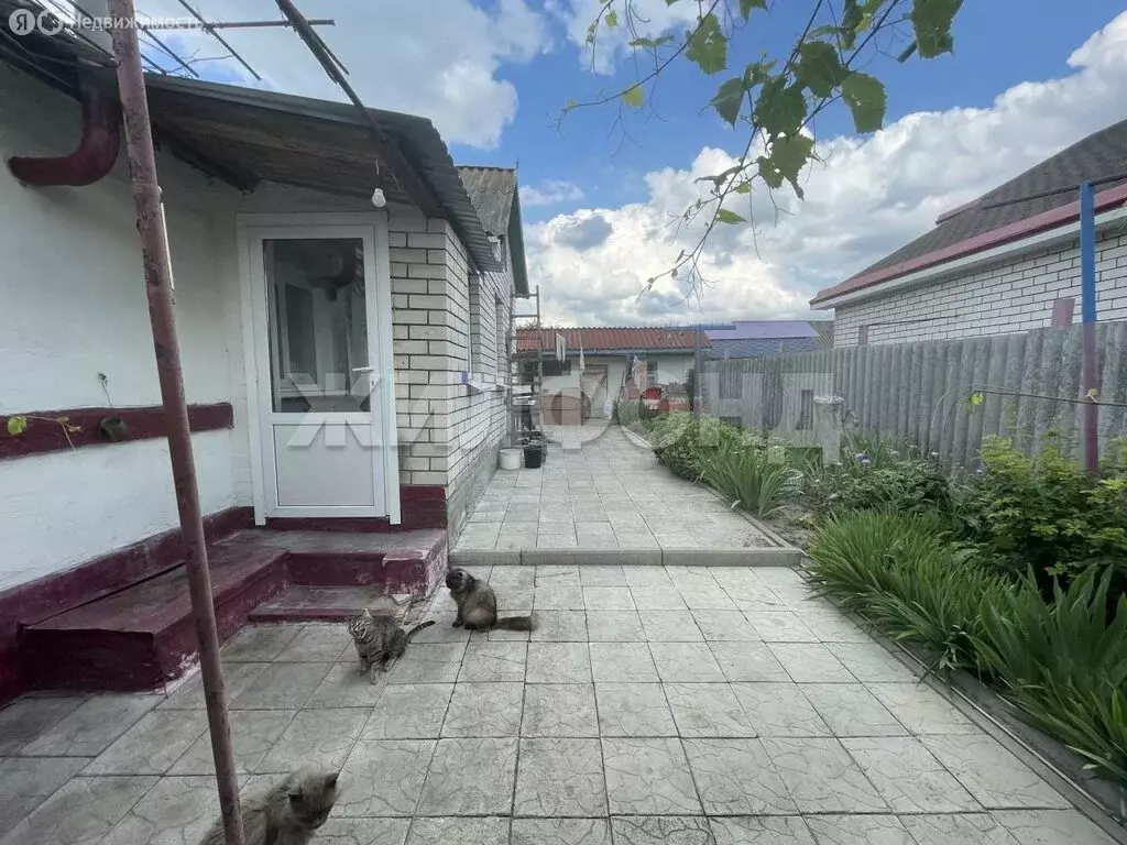 Дом в село Ближняя Игуменка, Привольная улица (52.9 м) - Фото 1