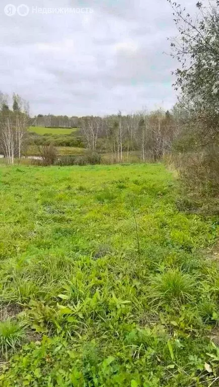 Участок в посёлок Ленинский, Центральная улица, 4 (15 м) - Фото 0