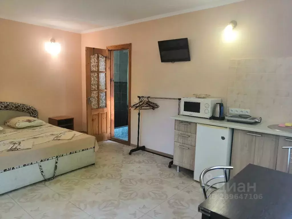 1-к кв. Крым, Судак ул. Бирюзова, 58Д (20.0 м) - Фото 1