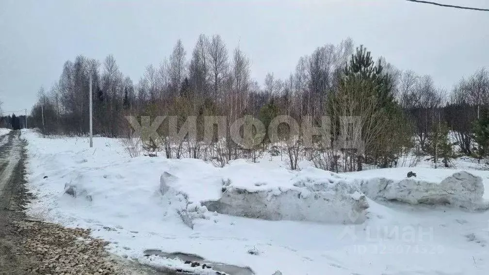 Участок в Томская область, Томский район, с. Корнилово, Красная горка ... - Фото 1