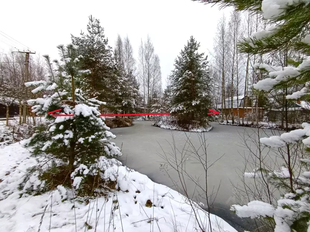 Участок в Ленинградская область, Всеволожский район, Колтушское ... - Фото 0