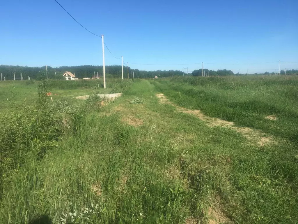Участок в Тюменская область, Тюменский район, с. Кулига ул. ... - Фото 1