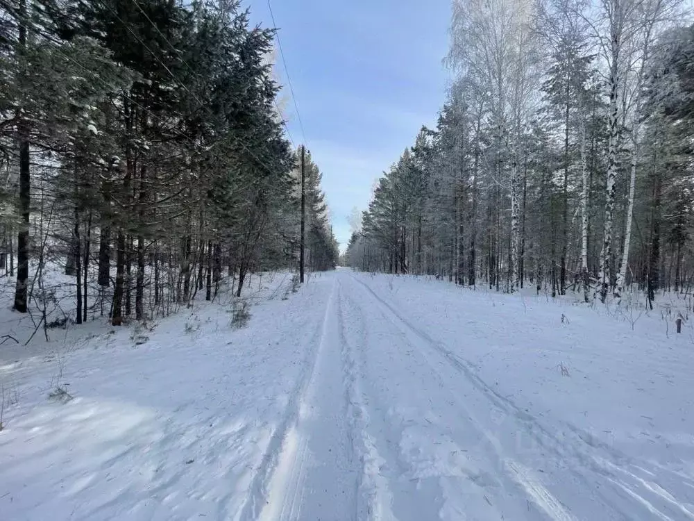 Участок в Иркутская область, Иркутский муниципальный округ, пос. Падь ... - Фото 1