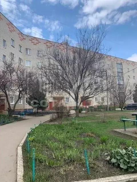 3-к кв. Воронежская область, Семилуки Транспортная ул., 12 (56.9 м) - Фото 2