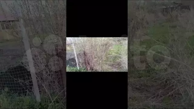 Участок 8 сот. (СНТ, ДНП) - Фото 1