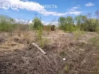 Участок в Амурская область, Благовещенский муниципальный округ, село ... - Фото 1