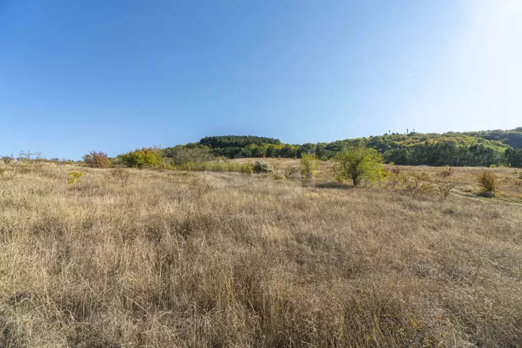 Участок в Крым, Бахчисарайский район, Скалистовское с/пос, Чаир ДСК 7 ... - Фото 0