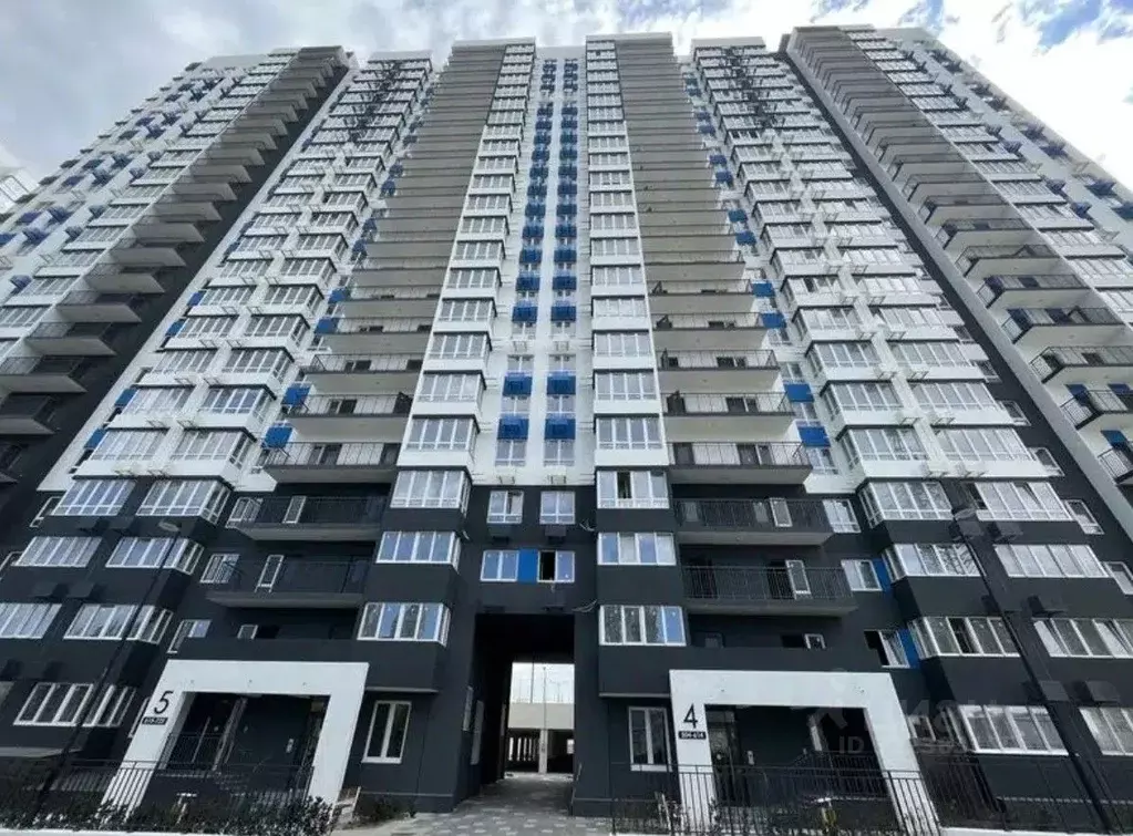 1-к кв. Краснодарский край, Новороссийск ул. Куникова, 47 (39.7 м) - Фото 1